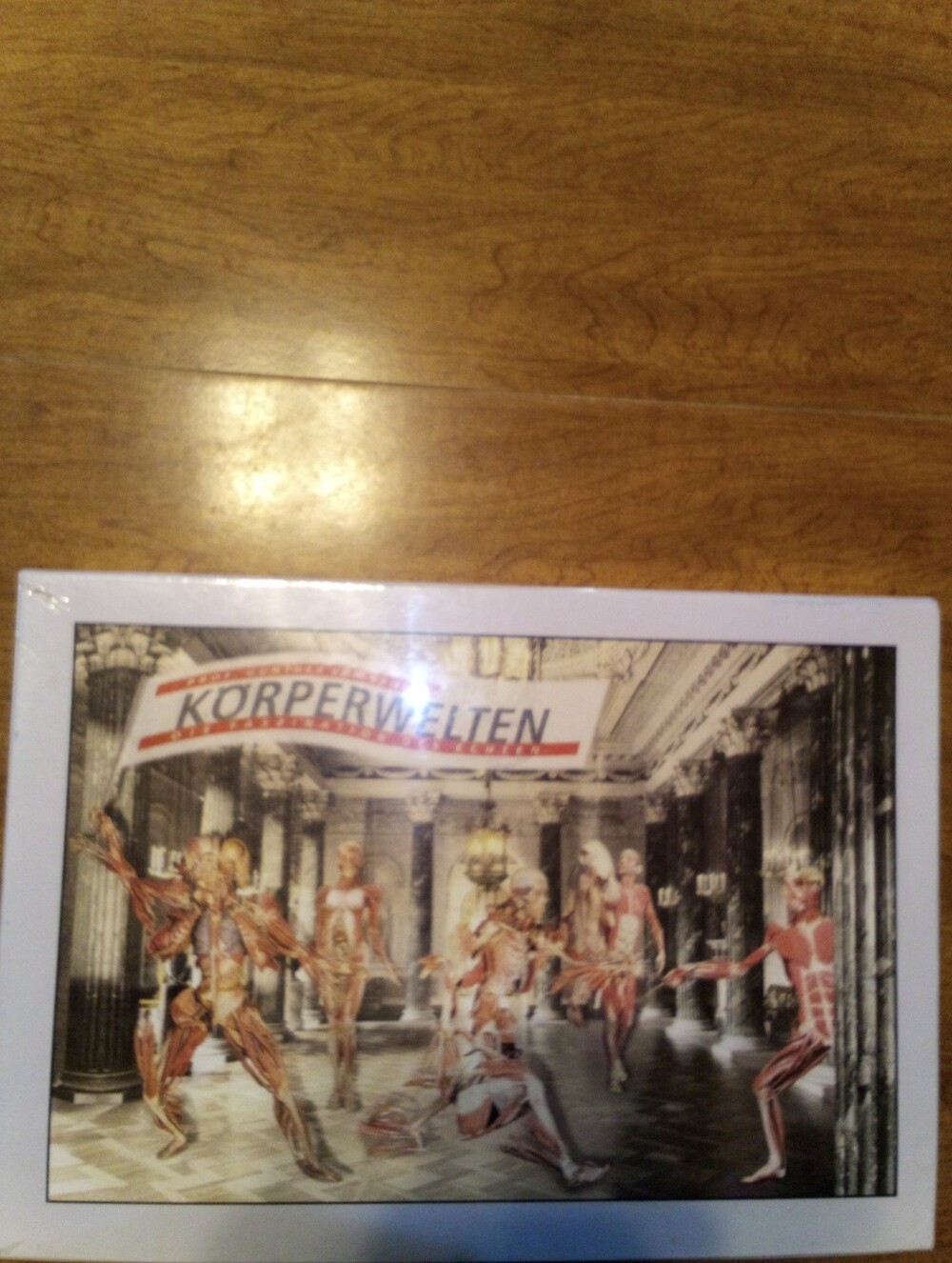Korperwelten Palace 500 Piece Jigsaw Puzzle Institute For Plastination Sealed